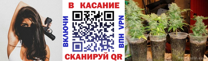 Купить закладку Кокаин  КЕТАМИН  Каннабис  Мефедрон  СК  Мураши