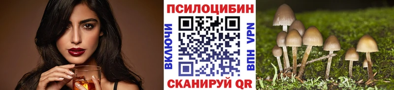 Купить где  Мураши  Псилоцибиновые грибы ЛСД 